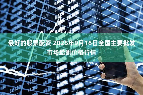 最好的股票配资 2025年9月16日全国主要批发市场蛤蜊价格行情