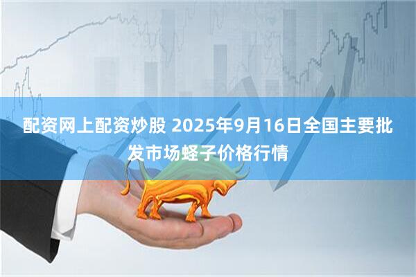 配资网上配资炒股 2025年9月16日全国主要批发市场蛏子价格行情