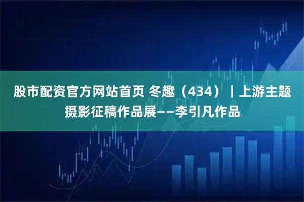 股市配资官方网站首页 冬趣（434）｜上游主题摄影征稿作品展——李引凡作品