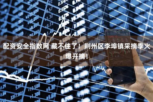 配资安全指数网 藏不住了!荆州区李埠镇采摘季火爆开摘!